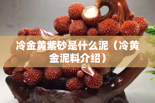 冷金黃紫砂是什么泥（冷黃金泥料介紹）