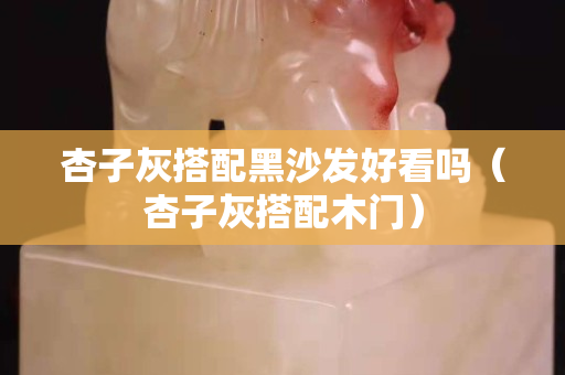 杏子灰搭配黑沙發好看嗎（杏子灰搭配木門）