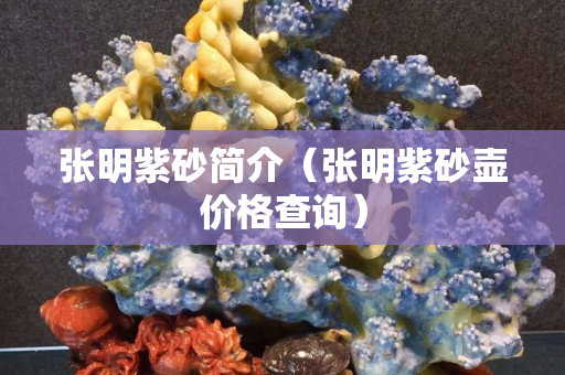 張明紫砂簡介（張明紫砂壺價格查詢）
