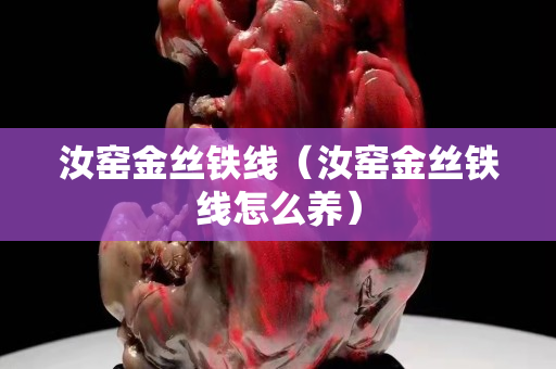 汝窯金絲鐵線（汝窯金絲鐵線怎么養）