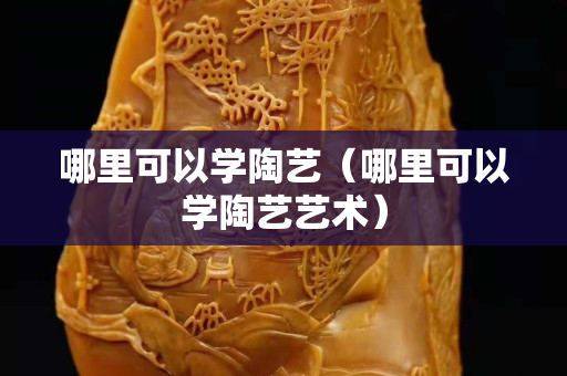 哪里可以學陶藝（哪里可以學陶藝藝術）
