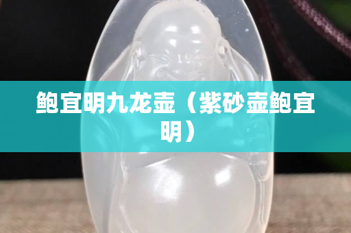 鮑宜明九龍壺（紫砂壺鮑宜明）