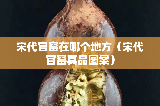 宋代官窯在哪個地方（宋代官窯真品圖案）