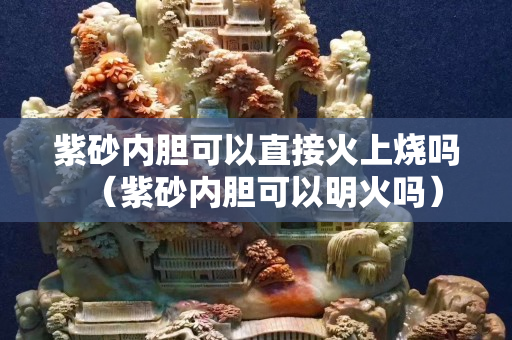 紫砂內膽可以直接火上燒嗎（紫砂內膽可以明火嗎）