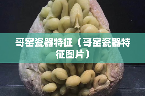 哥窯瓷器特征（哥窯瓷器特征圖片）