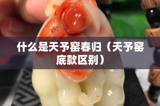 什么是天予窯春歸（天予窯底款區別）
