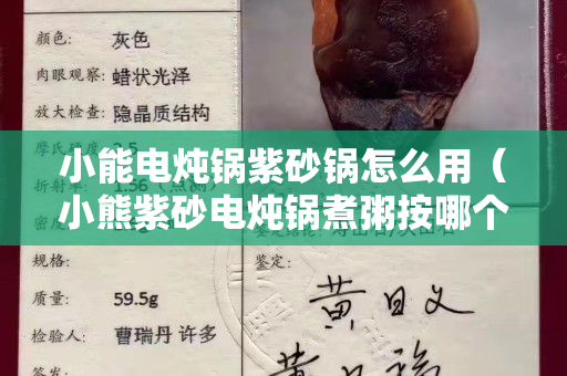 小能電燉鍋紫砂鍋怎么用（小熊紫砂電燉鍋煮粥按哪個功能）