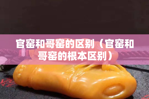 官窯和哥窯的區(qū)別（官窯和哥窯的根本區(qū)別）