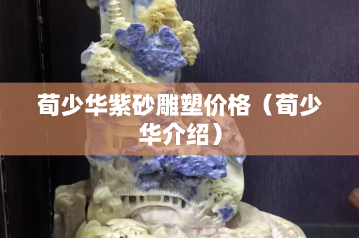 荀少華紫砂雕塑價格（荀少華介紹）