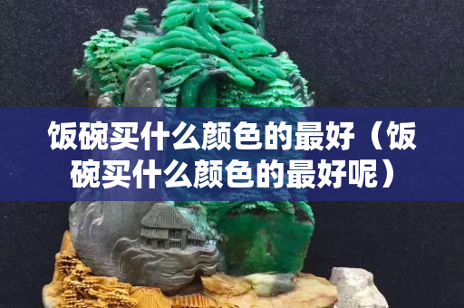 飯碗買(mǎi)什么顏色的最好（飯碗買(mǎi)什么顏色的最好呢）