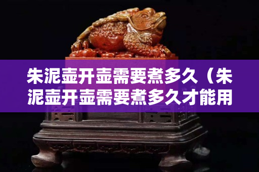 朱泥壺開壺需要煮多久（朱泥壺開壺需要煮多久才能用）