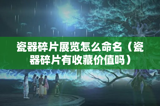 瓷器碎片展覽怎么命名（瓷器碎片有收藏價值嗎）