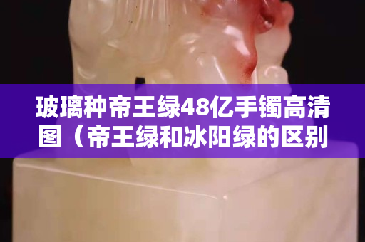 玻璃種帝王綠48億手鐲高清圖（帝王綠和冰陽綠的區別）