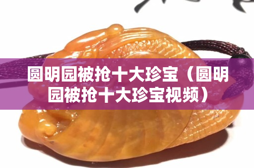圓明園被搶十大珍寶（圓明園被搶十大珍寶視頻）