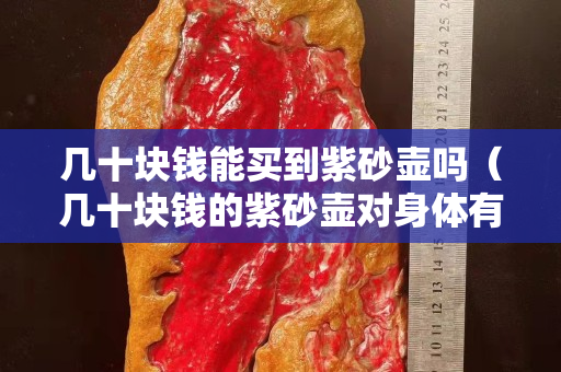幾十塊錢(qián)能買(mǎi)到紫砂壺嗎（幾十塊錢(qián)的紫砂壺對(duì)身體有害嗎）