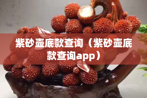 紫砂壺底款查詢（紫砂壺底款查詢app）