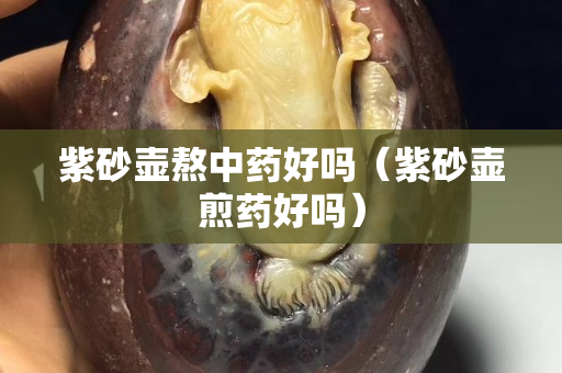 紫砂壺熬中藥好嗎（紫砂壺煎藥好嗎）