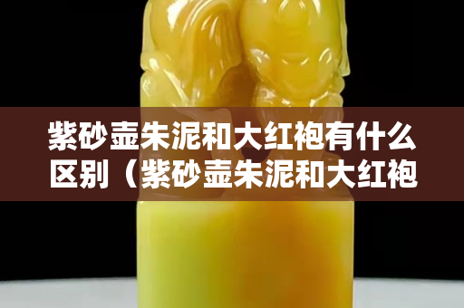 紫砂壺朱泥和大紅袍有什么區別（紫砂壺朱泥和大紅袍有什么區別圖片）