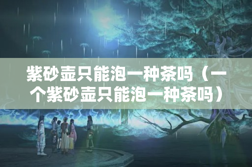 紫砂壺只能泡一種茶嗎（一個紫砂壺只能泡一種茶嗎）