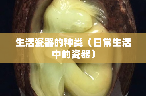 生活瓷器的種類（日常生活中的瓷器）
