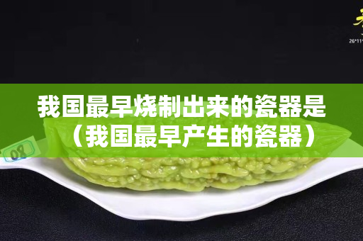 我國最早燒制出來的瓷器是（我國最早產生的瓷器）