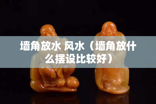墻角放水 風(fēng)水（墻角放什么擺設(shè)比較好）