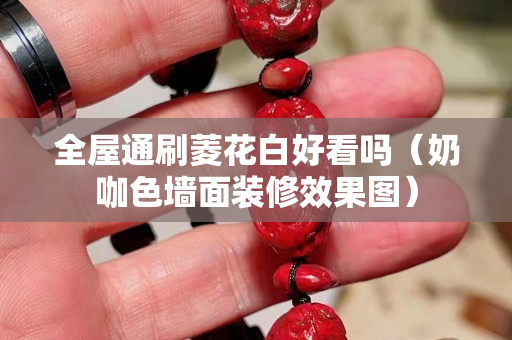 全屋通刷菱花白好看嗎（奶咖色墻面裝修效果圖）