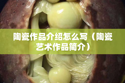陶瓷作品介紹怎么寫（陶瓷藝術(shù)作品簡介）