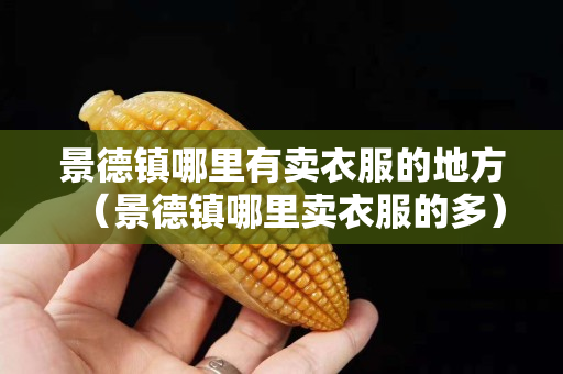 景德鎮(zhèn)哪里有賣衣服的地方（景德鎮(zhèn)哪里賣衣服的多）