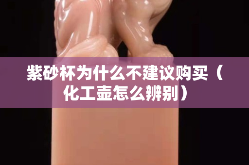 紫砂杯為什么不建議購買（化工壺怎么辨別）
