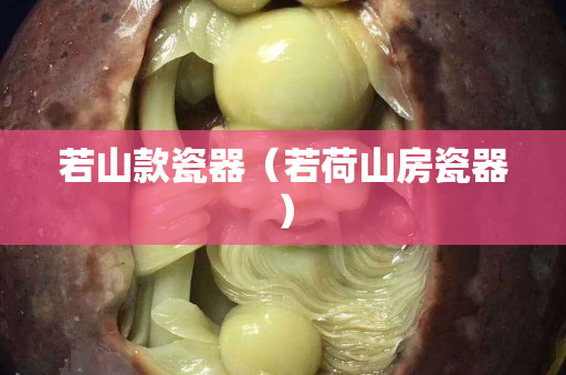若山款瓷器（若荷山房瓷器）