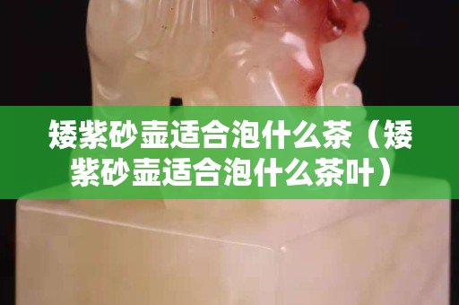 矮紫砂壺適合泡什么茶（矮紫砂壺適合泡什么茶葉）
