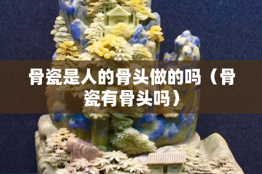 骨瓷是人的骨頭做的嗎（骨瓷有骨頭嗎）