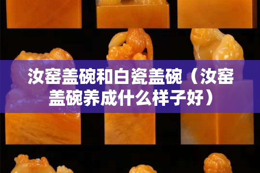 汝窯蓋碗和白瓷蓋碗（汝窯蓋碗養成什么樣子好）