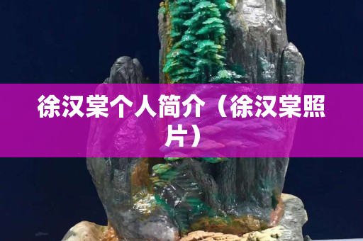 徐漢棠個人簡介（徐漢棠照片）