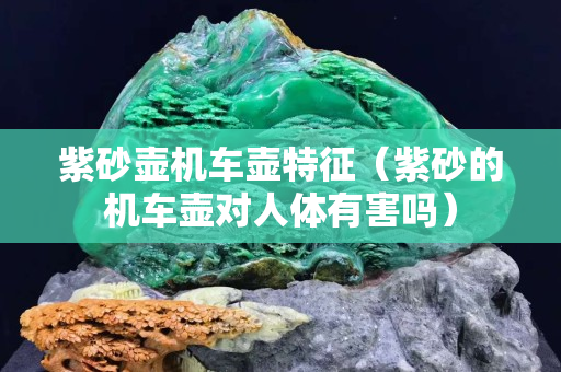 紫砂壺機車壺特征（紫砂的機車壺對人體有害嗎）