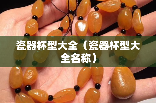瓷器杯型大全（瓷器杯型大全名稱）