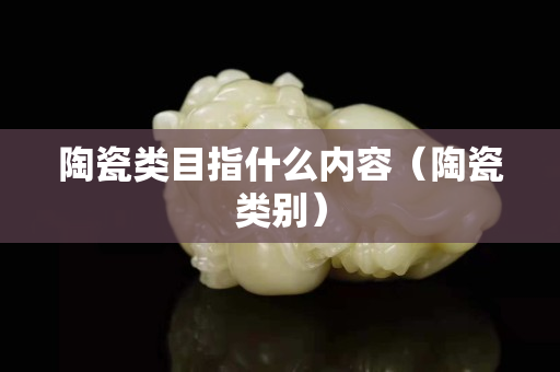 陶瓷類目指什么內容（陶瓷類別）