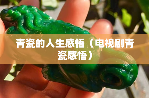 青瓷的人生感悟（電視劇青瓷感悟）