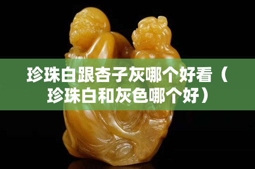 珍珠白跟杏子灰哪個好看（珍珠白和灰色哪個好）