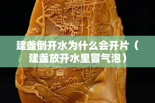 建盞倒開(kāi)水為什么會(huì)開(kāi)片（建盞放開(kāi)水里冒氣泡）