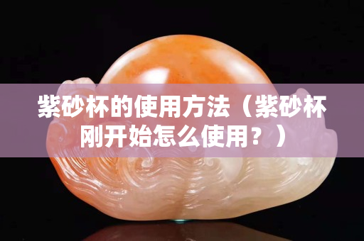 紫砂杯的使用方法（紫砂杯剛開始怎么使用？）