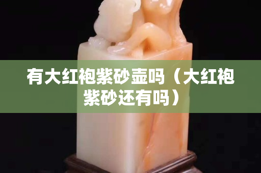 有大紅袍紫砂壺嗎（大紅袍紫砂還有嗎）