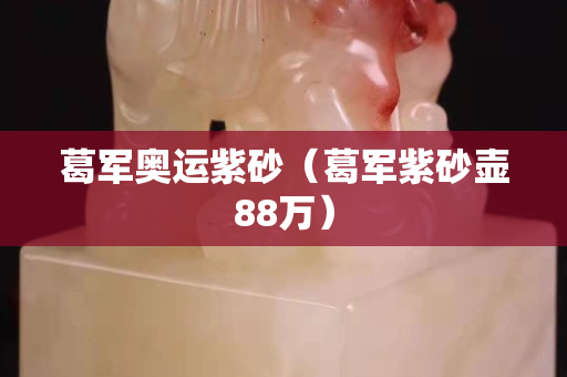 葛軍奧運紫砂（葛軍紫砂壺88萬）