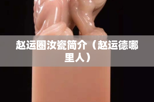 趙運(yùn)圈汝瓷簡介（趙運(yùn)德哪里人）