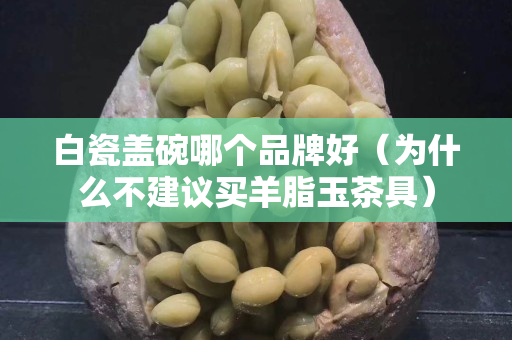 白瓷蓋碗哪個(gè)品牌好（為什么不建議買(mǎi)羊脂玉茶具）