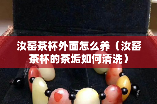 汝窯茶杯外面怎么養（汝窯茶杯的茶垢如何清洗）