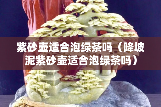 紫砂壺適合泡綠茶嗎（降坡泥紫砂壺適合泡綠茶嗎）