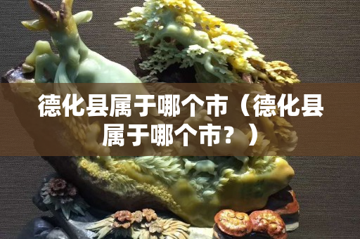 德化縣屬于哪個市（德化縣屬于哪個市？）