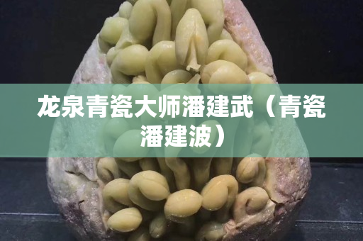 龍泉青瓷大師潘建武（青瓷潘建波）